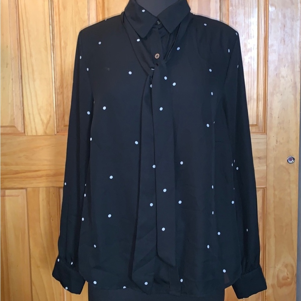 Super cute sheer Polka Dot Blouse